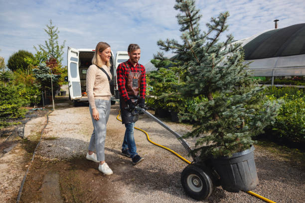 Best Hazardous Tree Removal  in Rancho Cumonga, CA